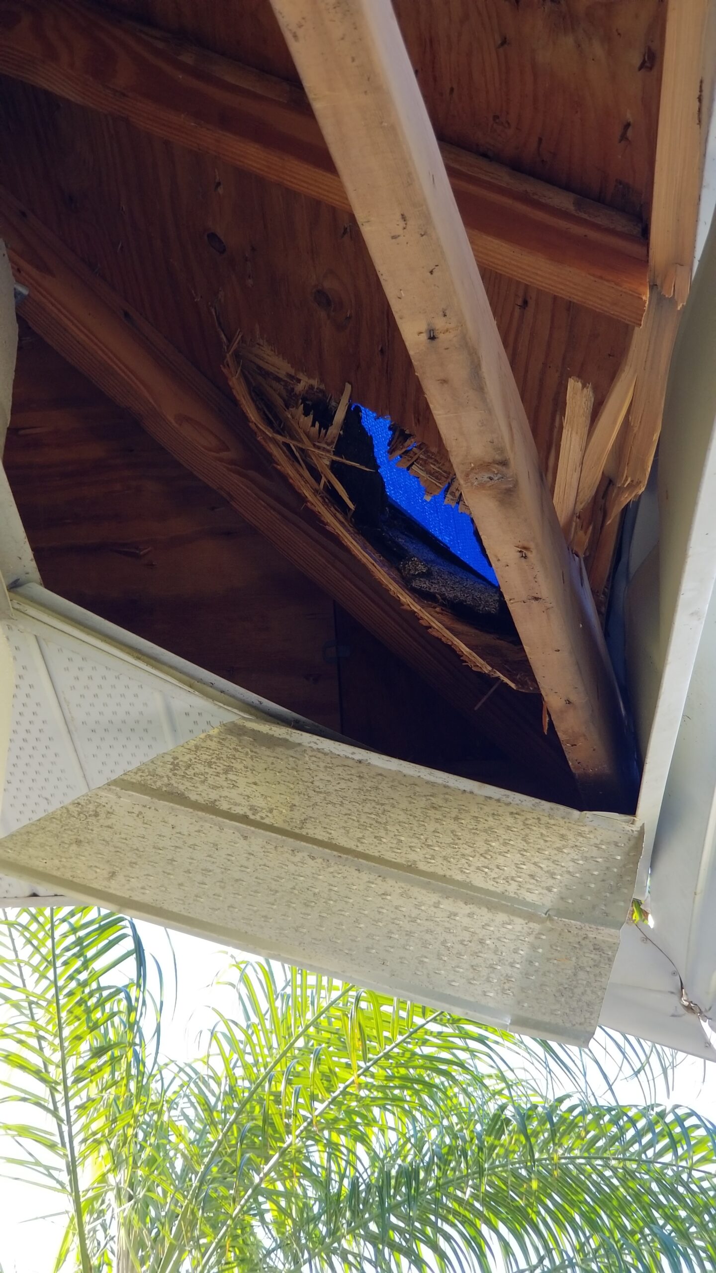 Damaged roof structure exposed under soffit after tree impact from Hurricane