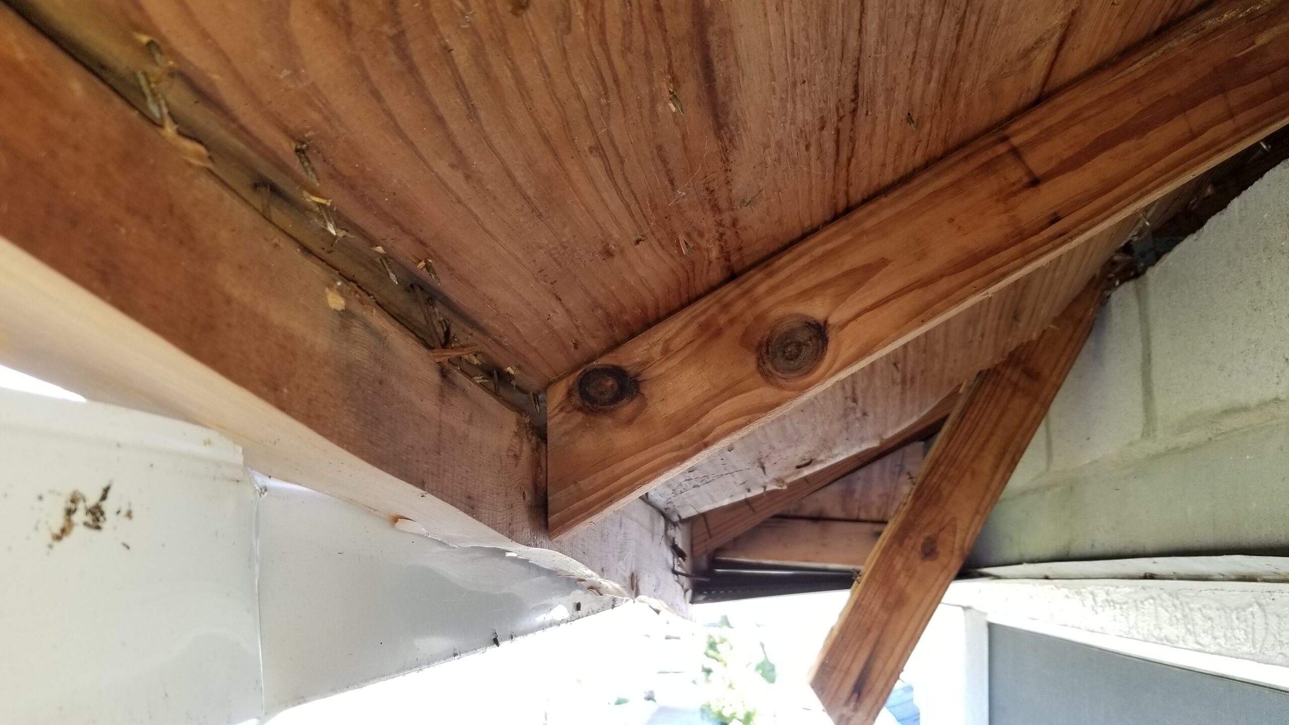 Exposed roof framing with hurricane impact damage from tree and debris.