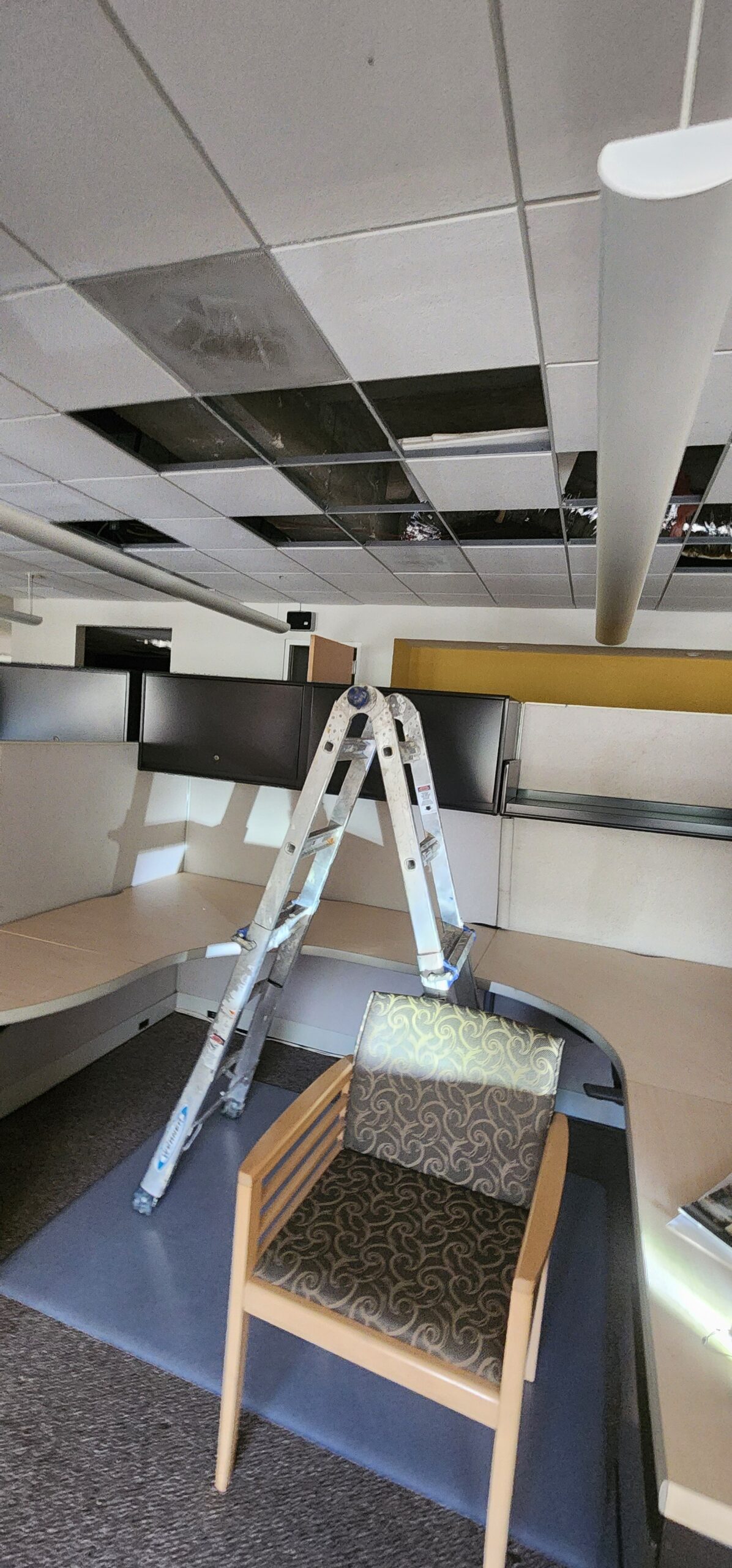 Interior inspection of commercial building showing exposed ceiling and inspection ladder.